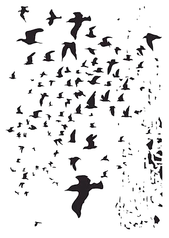 MIX MEDİA STENCIL MA SERİSİ MA75 21X29