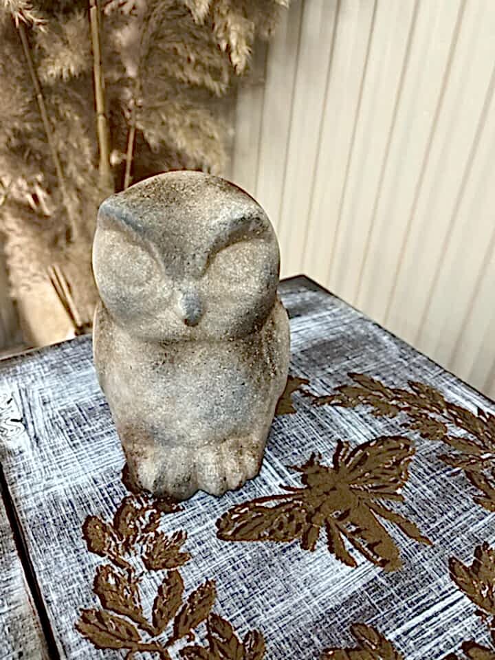 BAYKUŞ