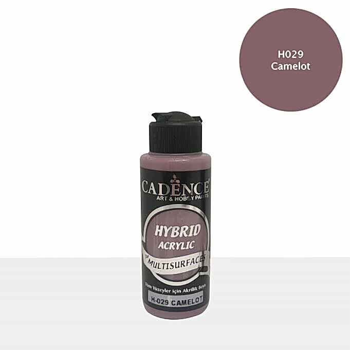H-029 CAMELOT 120 ML MULTISURFACE HYBRID AKR.